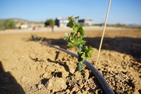 1000074571-1600×900-1