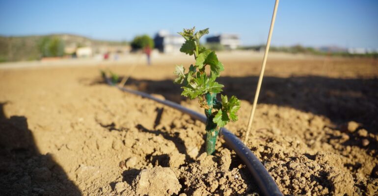 1000074571-1600×900-1